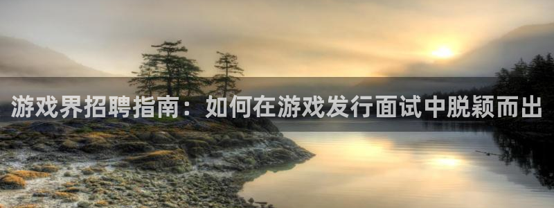 门徒娱乐联盟官网：游戏界招聘指南：如何在游戏发行面试中脱颖而出