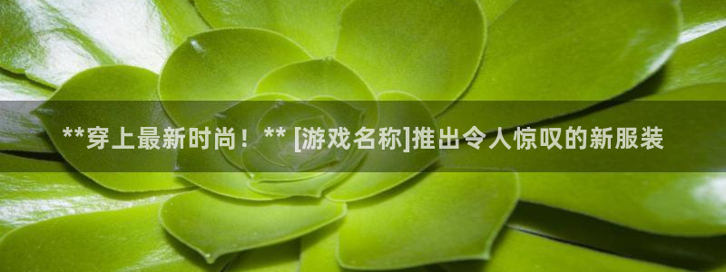 门徒娱乐创始人简介：**穿上最新时尚！** [游戏名称]推出令人惊叹的新服装