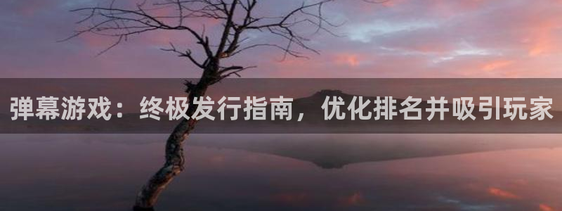 门徒娱乐登录测速：弹幕游戏：终极发行指南，优化排名并吸引玩家