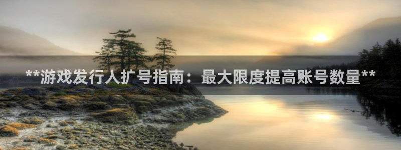 门徒平台胡 5O6917 平台：**游戏发行人扩号指南：最大限度提高账号数量**