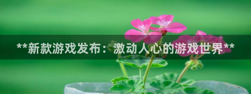 门徒平台注册登陆：**新款游戏发布：激动人心的游戏世界**