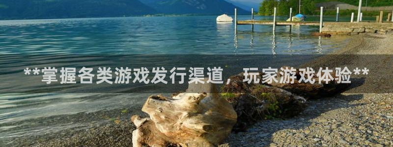 门徒娱乐总代理：**掌握各类游戏发行渠道，玩家游戏体验**