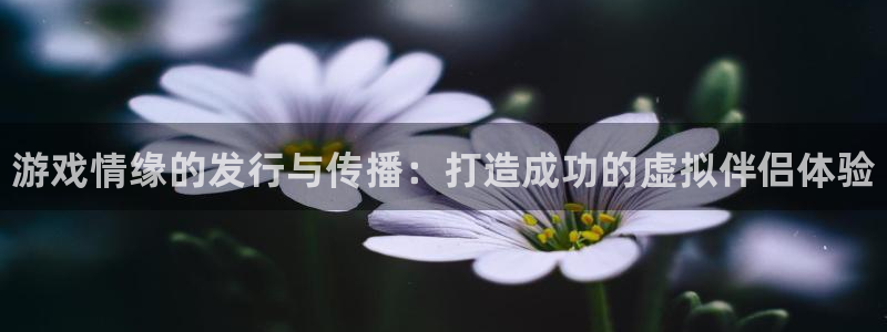门徒平台下载：游戏情缘的发行与传播：打造成功的虚拟伴侣体验